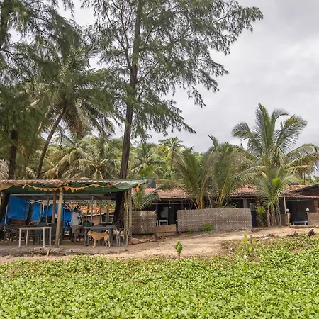 Talpona Beach Studios